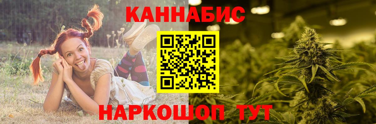 Каннабис ГИДРОПОН  Вход с VPN  Канабис Bruce Banner  Урус-Мартан  Бошки Шишки гибрид  Бошки Шишки Amnesia 